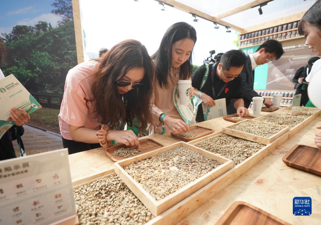 摆脱游戏手机版官网